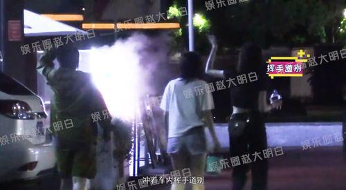 刘诗诗最新八卦爆料视频,揭秘明星私生活幕后真相  第3张